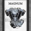 billy-cune-art-magnum-poster-ironhead-flathead-wl